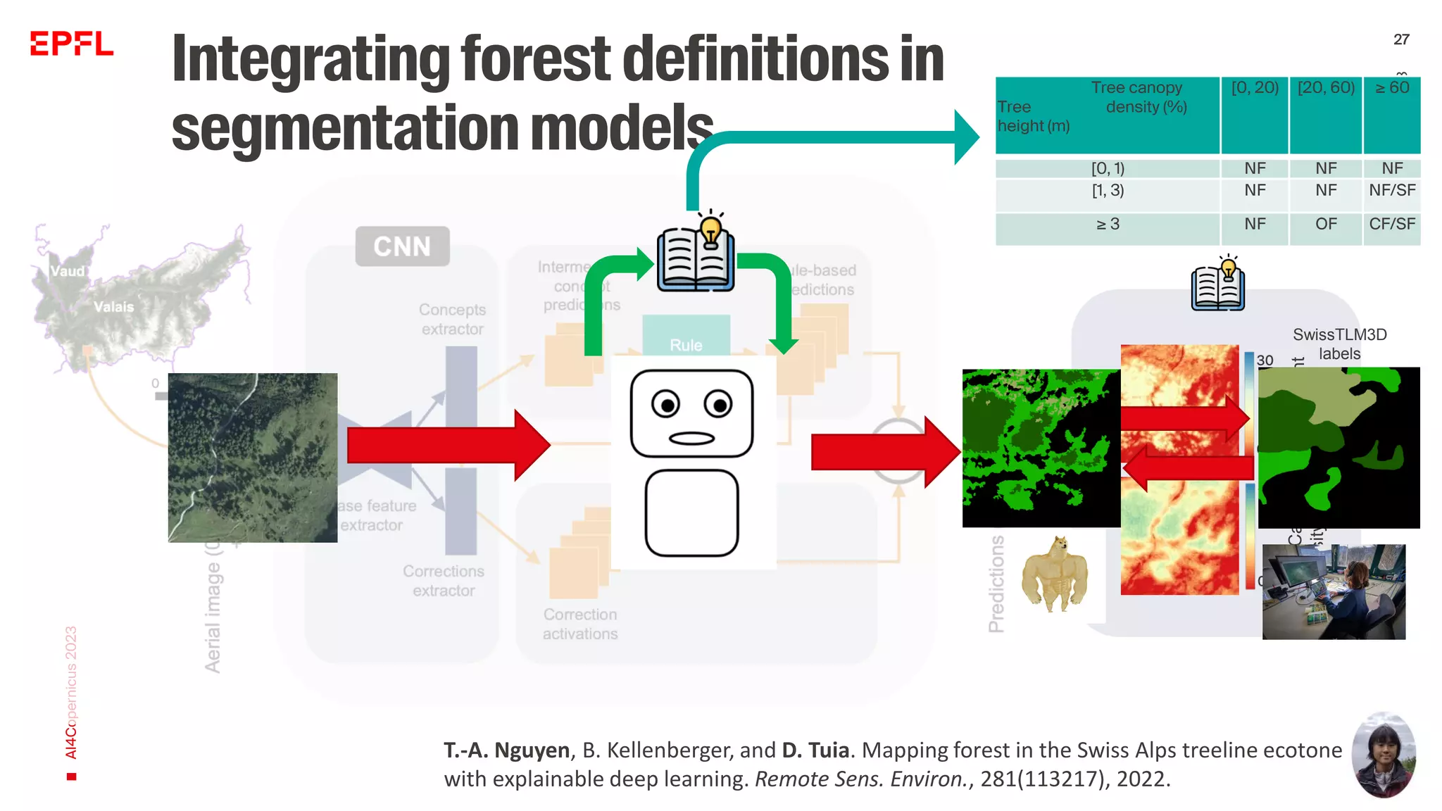 Integratingforestdefinitionsin
segmentationmodels
AI4Copernicus
2023
D.
Tuia
/
May
2023
27
T.-A. Nguyen, B. Kellenberger, and D. Tuia. Mapping forest in the Swiss Alps treeline ecotone
with explainable deep learning. Remote Sens. Environ., 281(113217), 2022.
Tree canopy
Tree density (%)
height (m)
[0, 20) [20, 60) ≥ 60
[0, 1) NF NF NF
[1, 3) NF NF NF/SF
≥ 3 NF OF CF/SF
Tree
Canopy
Density
(%)
Tree
Height
(m)
SwissTLM3D
labels
 