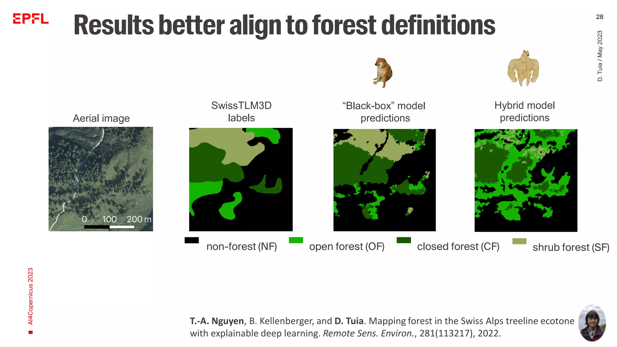 Resultsbetter aligntoforestdefinitions
AI4Copernicus
2023
D.
Tuia
/
May
2023
28
“Black-box” model
predictions
SwissTLM3D
labels
Hybrid model
predictions
Aerial image
non-forest (NF) open forest (OF) closed forest (CF) shrub forest (SF)
T.-A. Nguyen, B. Kellenberger, and D. Tuia. Mapping forest in the Swiss Alps treeline ecotone
with explainable deep learning. Remote Sens. Environ., 281(113217), 2022.
 