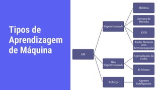 Tipos de
Aprendizagem
de Máquina
 