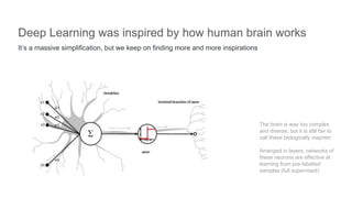 Deep Learning was inspired by how human brain works
It’s a massive simplification, but we keep on finding more and more inspirations
The brain is way too complex
and diverse, but it is still fair to
call these biologically inspired
Arranged in layers, networks of
these neurons are effective at
learning from pre-labelled
samples (full supervised)
 