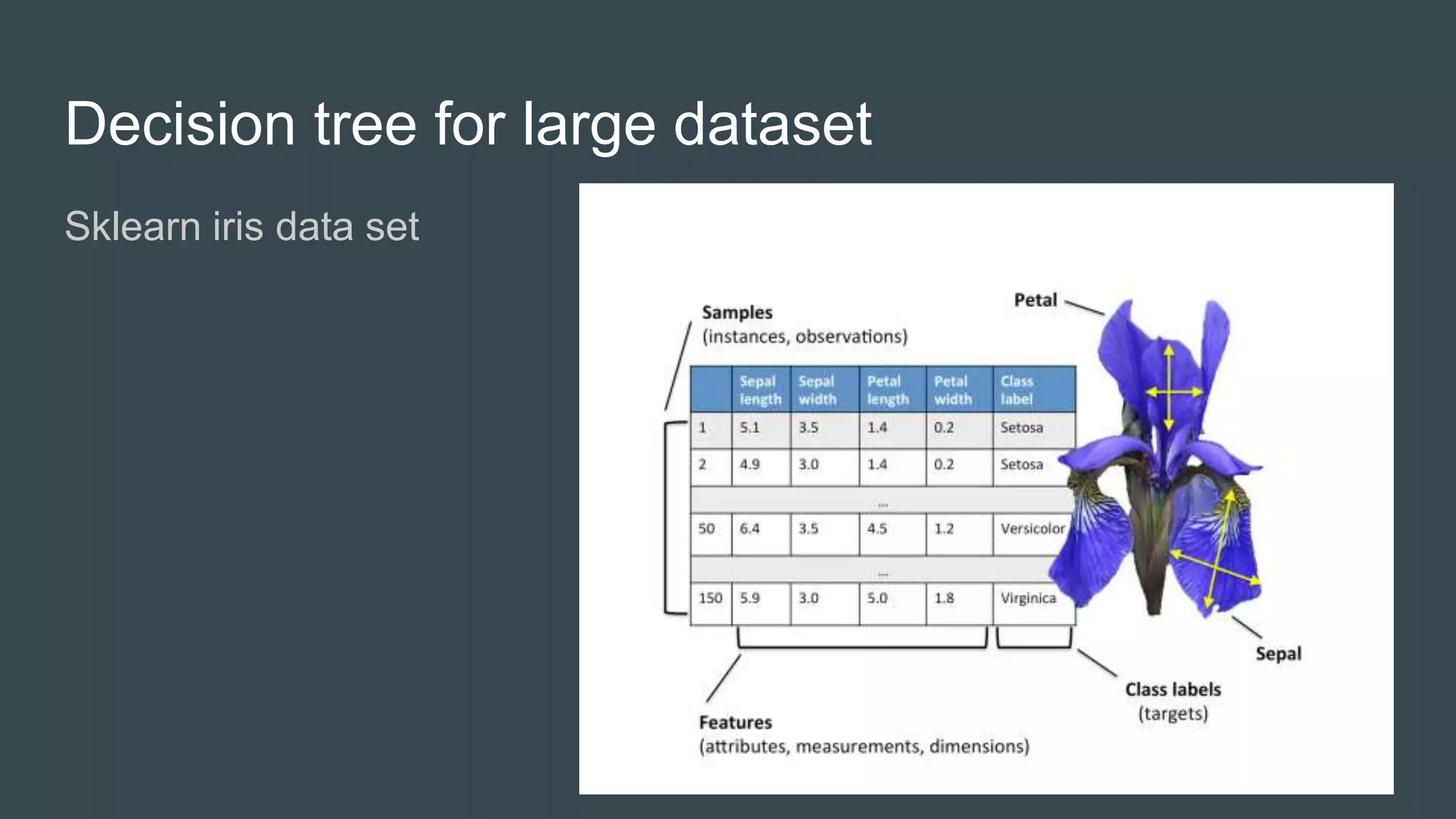 Decision tree for large dataset
Sklearn iris data set
13
 