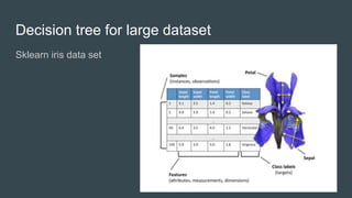 Decision tree for large dataset
Sklearn iris data set
13
 