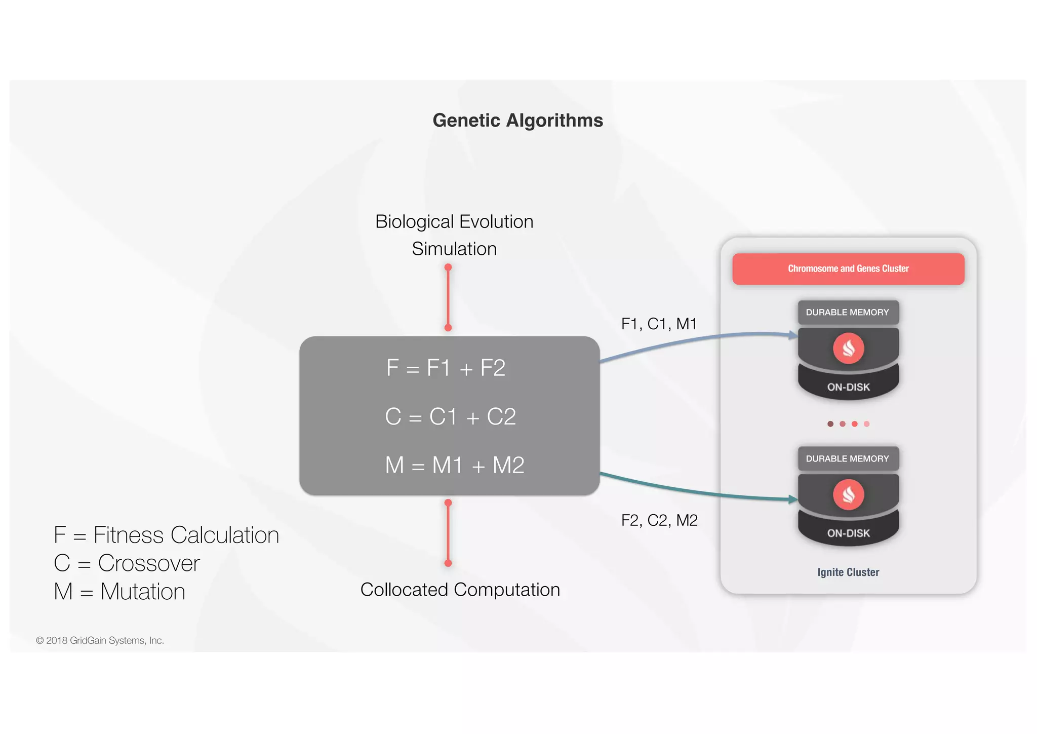 © 2018 GridGain Systems, Inc. Genetic Algorithms DURABLE MEMORY DURABLE MEMORY Ignite Cluster F2, C2, M2 F = F1 + F2 C = C1 + C2 Collocated Computation Biological Evolution Simulation Chromosome and Genes Cluster M = M1 + M2 F1, C1, M1 F = Fitness Calculation C = Crossover M = Mutation 