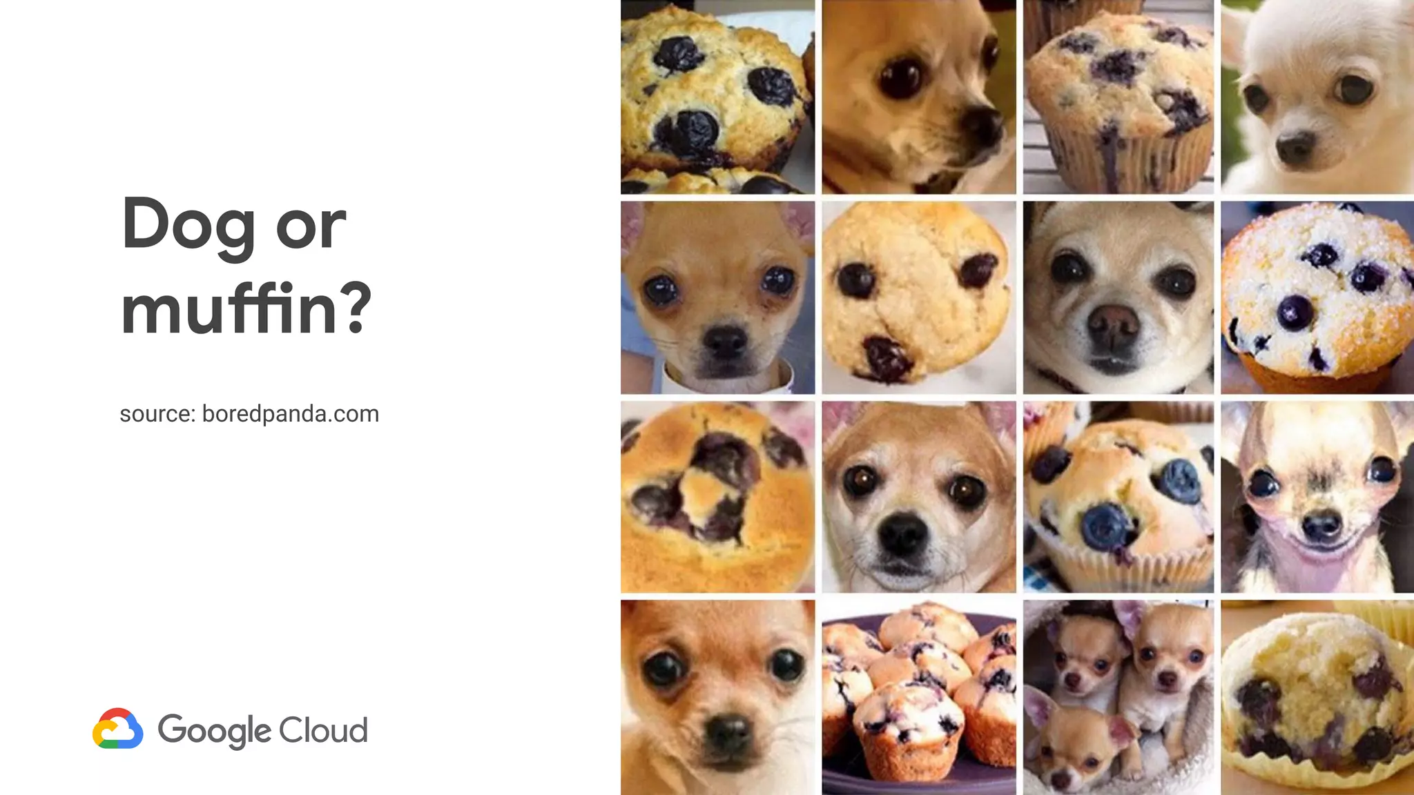 Dog or
muffin?
source: boredpanda.com
 