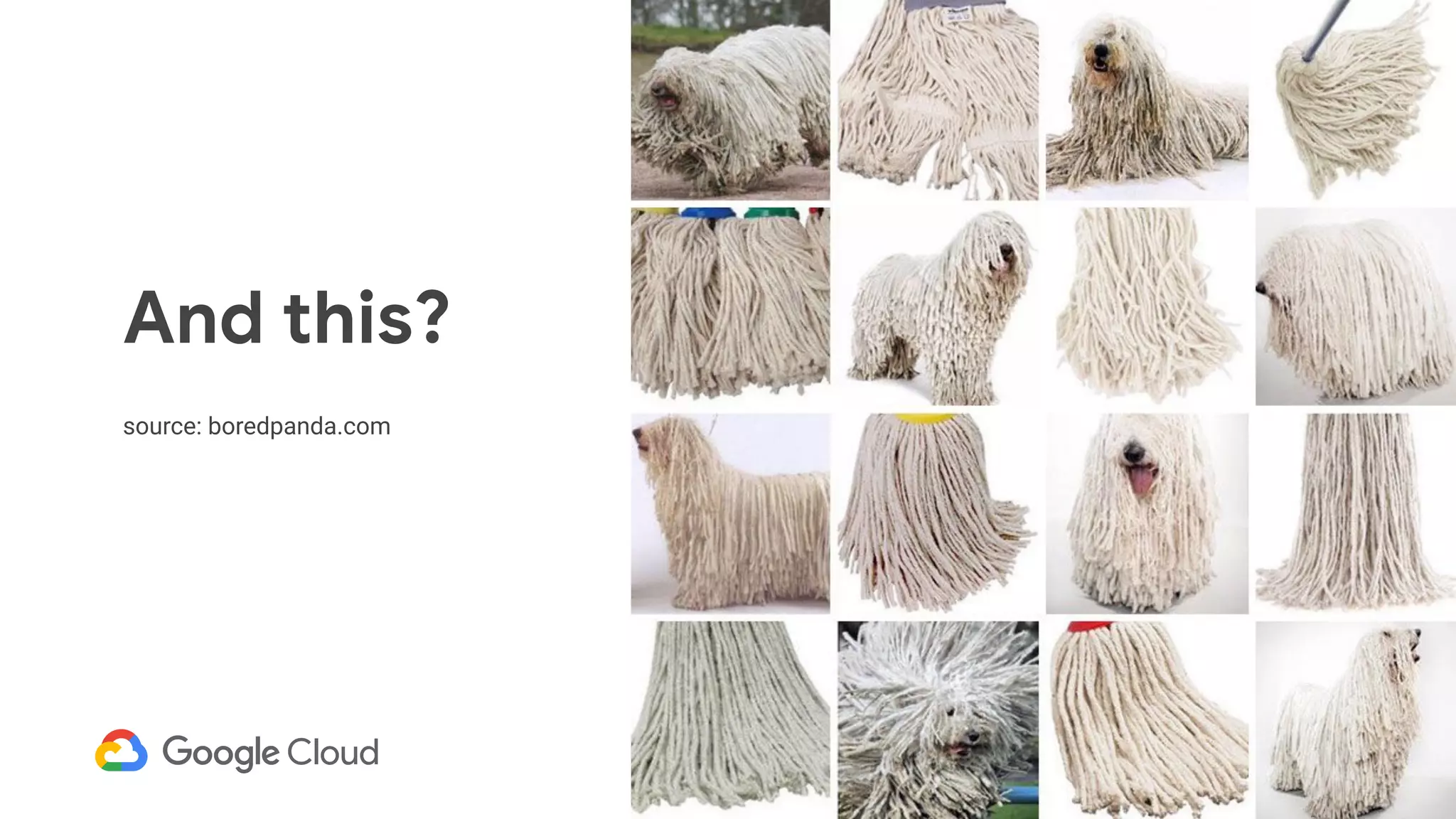 And this?
source: boredpanda.com
 