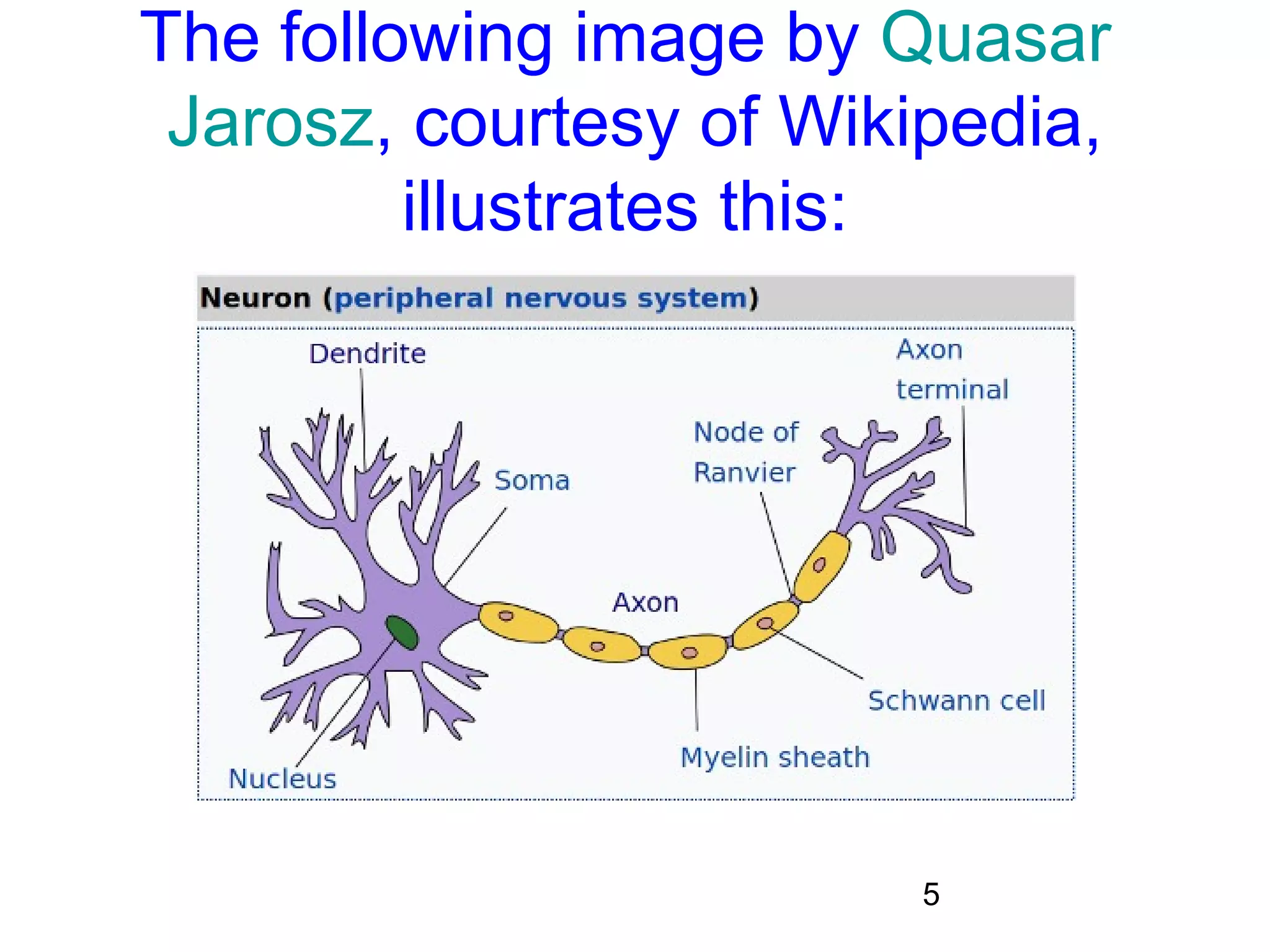 5
The following image by Quasar
Jarosz, courtesy of Wikipedia,
illustrates this:
 