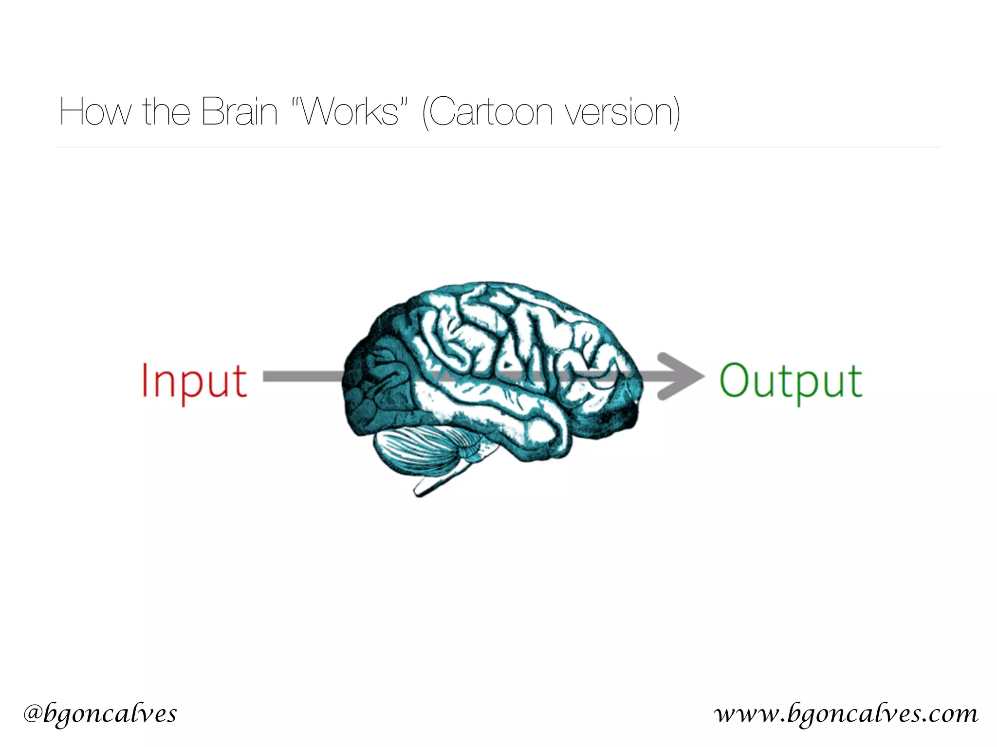 www.bgoncalves.com@bgoncalves How the Brain “Works” (Cartoon version) 