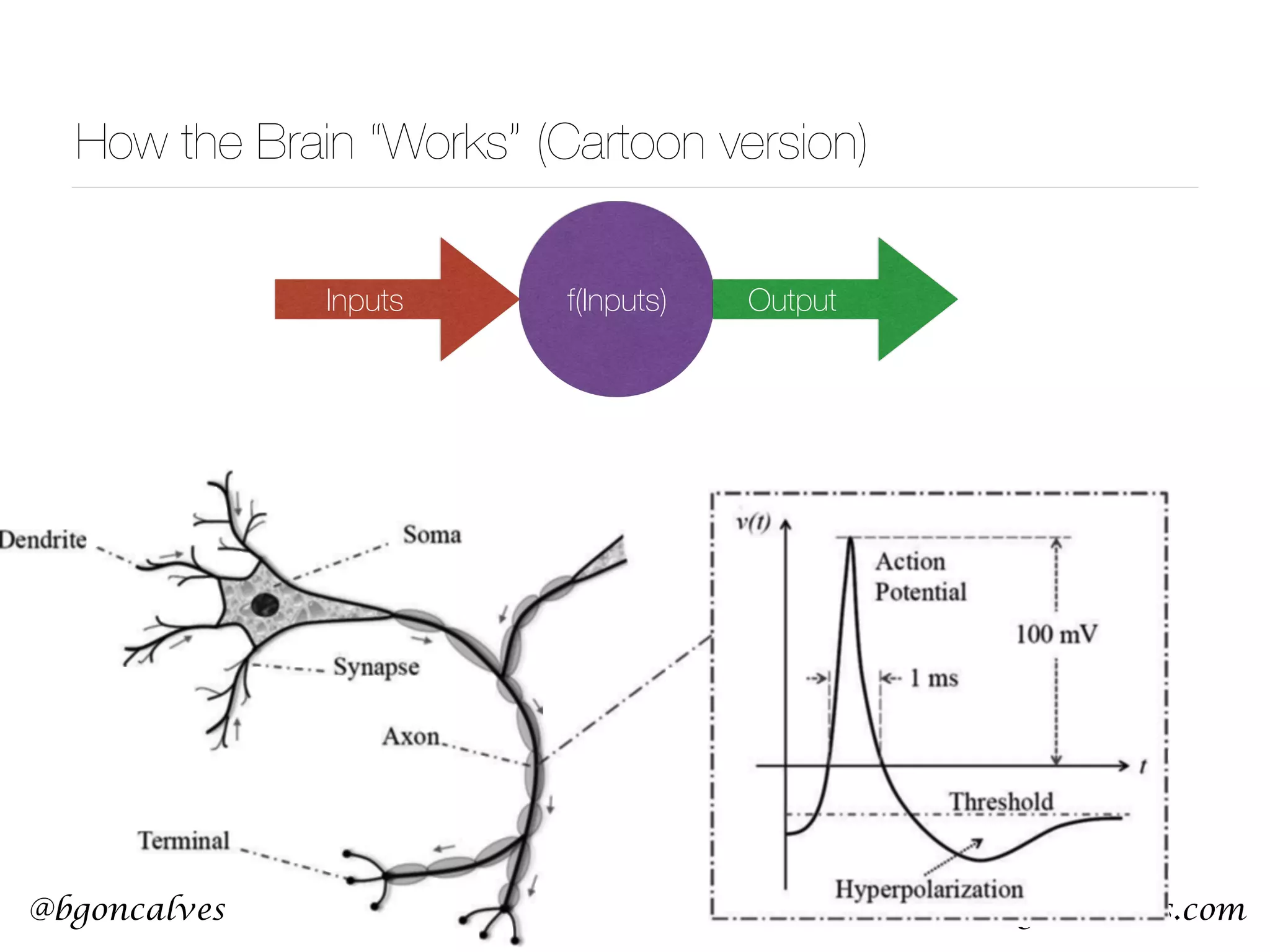 www.bgoncalves.com@bgoncalves How the Brain “Works” (Cartoon version) Inputs Outputf(Inputs) 