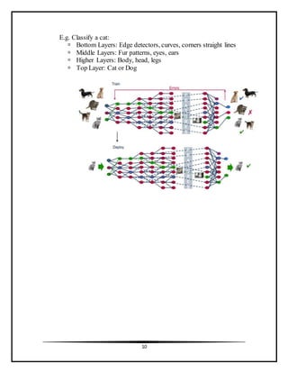 10
E.g. Classify a cat:
 Bottom Layers: Edge detectors, curves, corners straight lines
 Middle Layers: Fur patterns, eyes, ears
 Higher Layers: Body, head, legs
 Top Layer: Cat or Dog
 