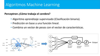 Algoritmos Machine Learning
Perceptron ¿Cómo trabaja el cerebro?
• Algoritmo aprendizaje supervisado (Clasificación binaria).
• Predicción en base a una función lineal.
• Combina un vector de pesos con el vector de características.
 