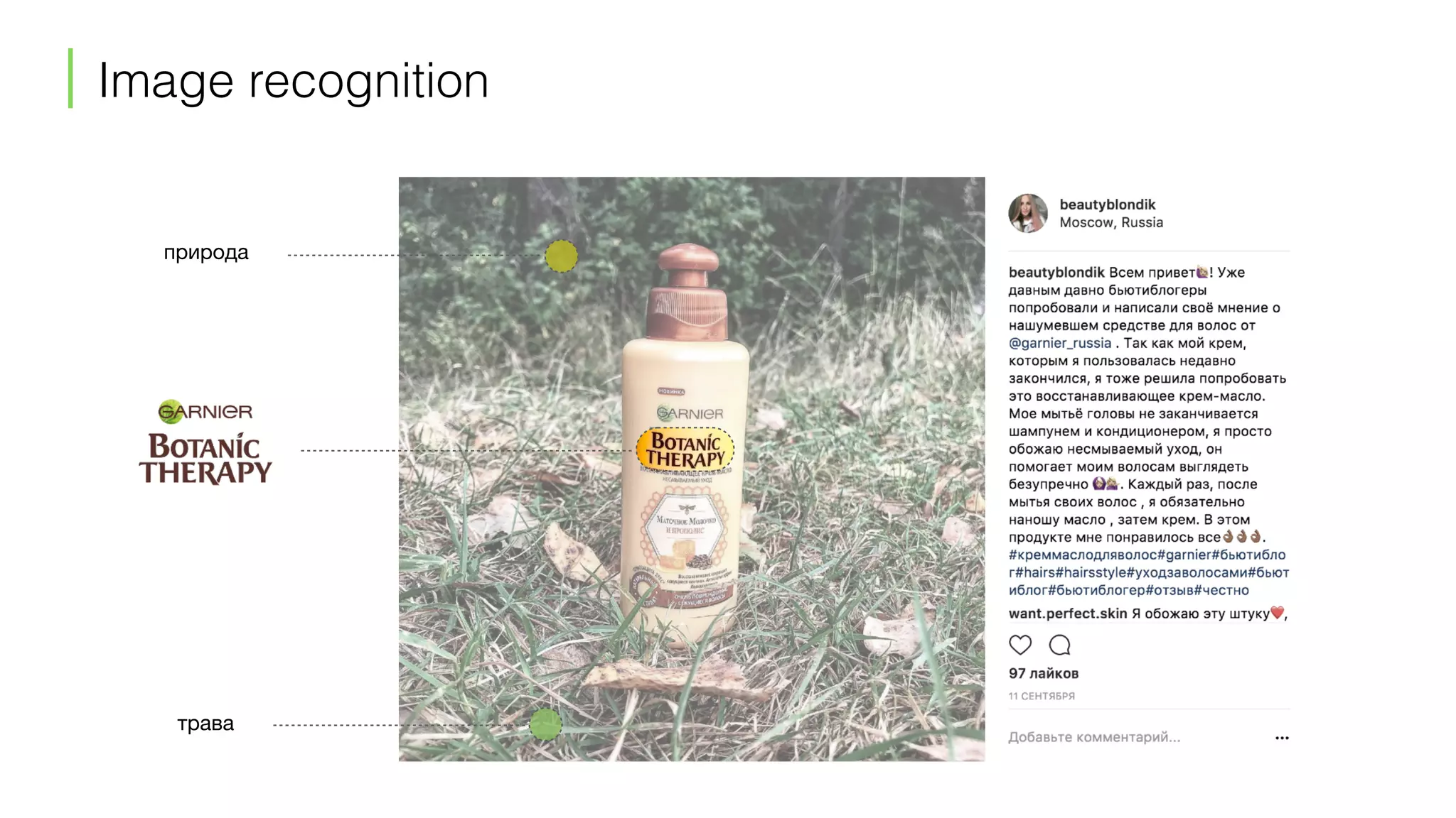 трава
природа
Image recognition
 