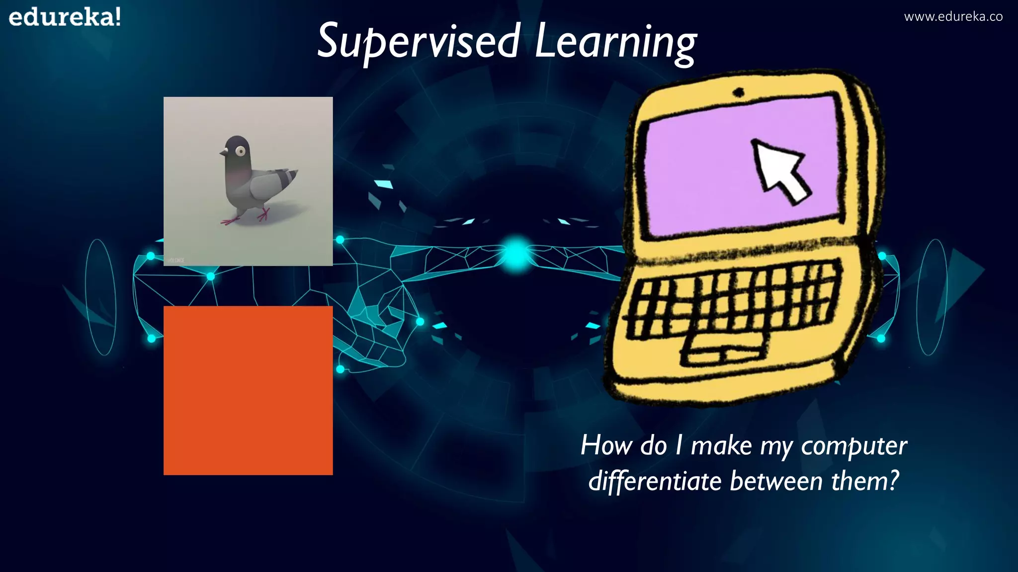 How do I make my computer
differentiate between them?
Supervised Learning
www.edureka.co
 