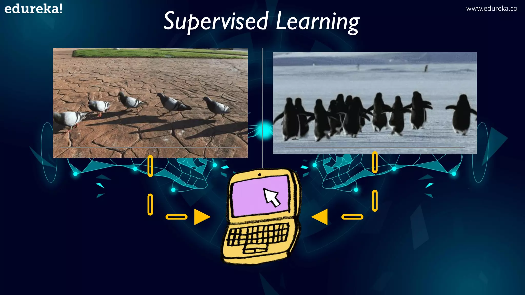 Supervised Learning
www.edureka.co
 