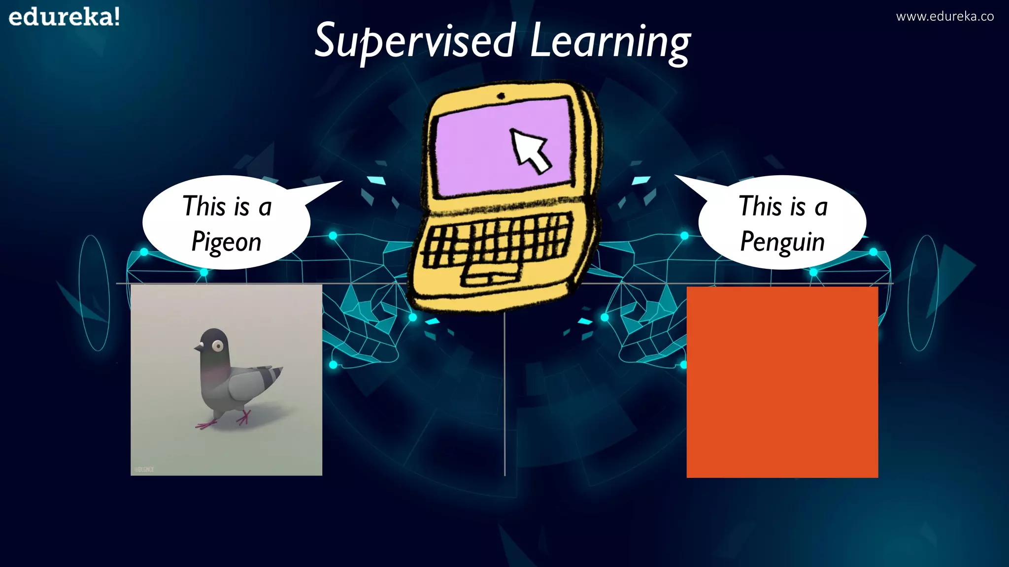 This is a
Pigeon
This is a
Penguin
Supervised Learning
www.edureka.co
 