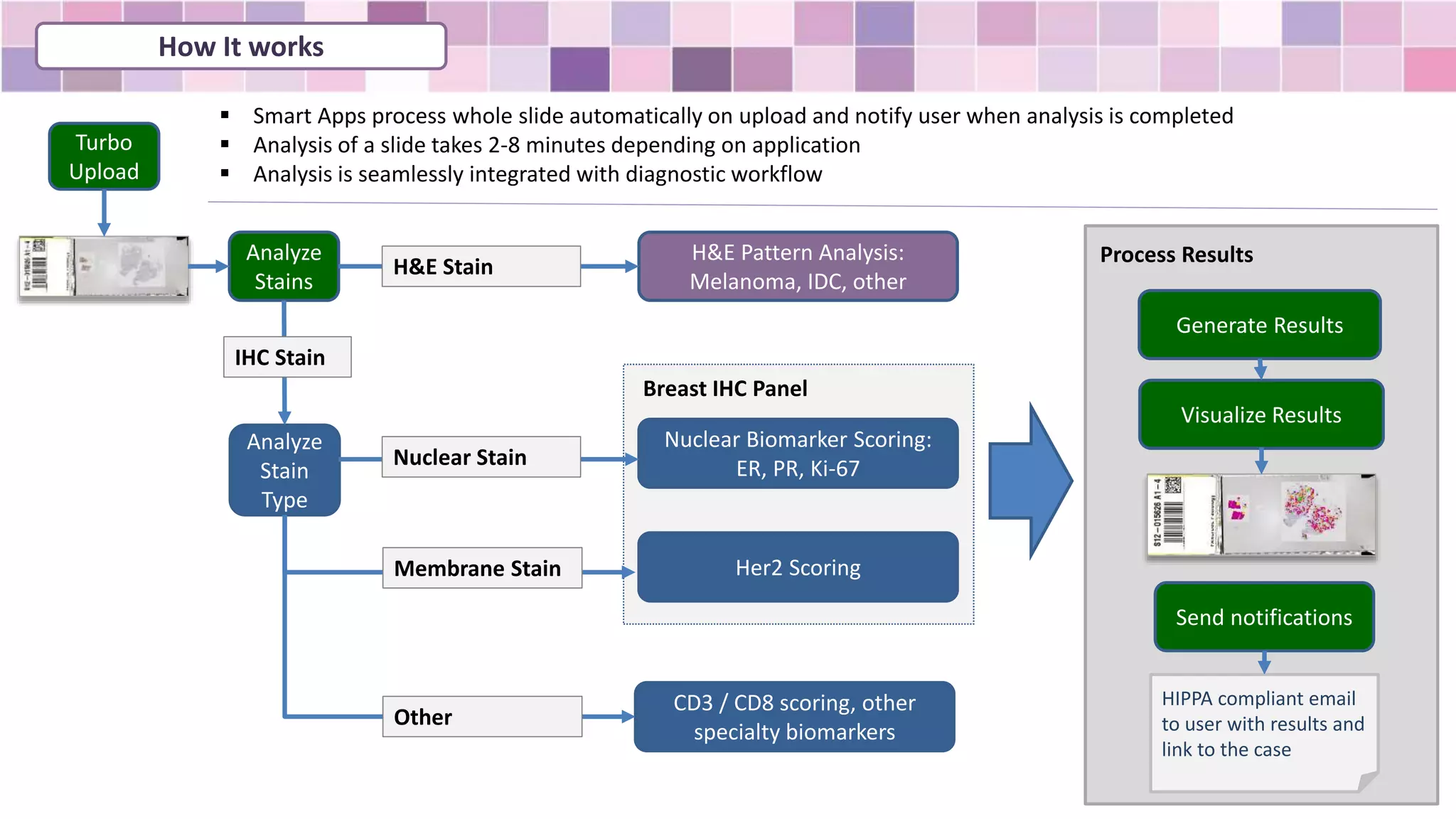How It works
Turbo
Upload
Analyze
Stains
H&E Pattern Analysis:
Melanoma, IDC, other
H&E Stain
Analyze
Stain
Type
Nuclear Biomarker Scoring:
ER, PR, Ki-67
Her2 Scoring
Breast IHC Panel
CD3 / CD8 scoring, other
specialty biomarkers
Nuclear Stain
Other
Membrane Stain
IHC Stain
Generate Results
Visualize Results
Send notifications
HIPPA compliant email
to user with results and
link to the case
 Smart Apps process whole slide automatically on upload and notify user when analysis is completed
 Analysis of a slide takes 2-8 minutes depending on application
 Analysis is seamlessly integrated with diagnostic workflow
Process Results
 