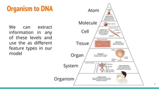 Organism to DNA
9
We can extract
information in any
of these levels and
use the as diﬀerent
feature types in our
model
Atom
Molecule
Cell
Tissue
Organ
System
Organism
 