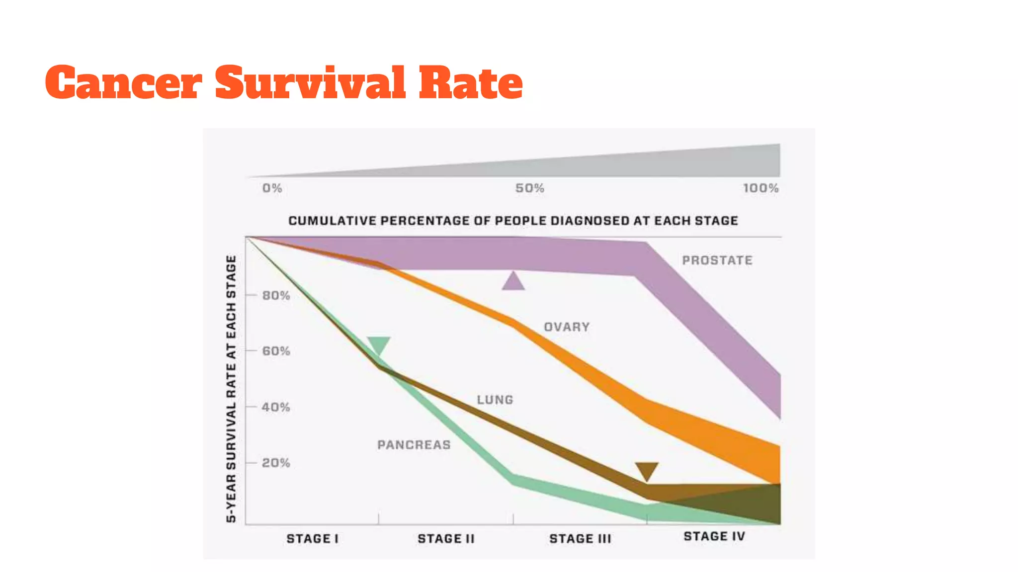 Cancer Survival Rate
 