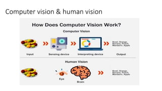 Computer vision & human vision
 