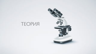 ТЕОРИЯ
 
