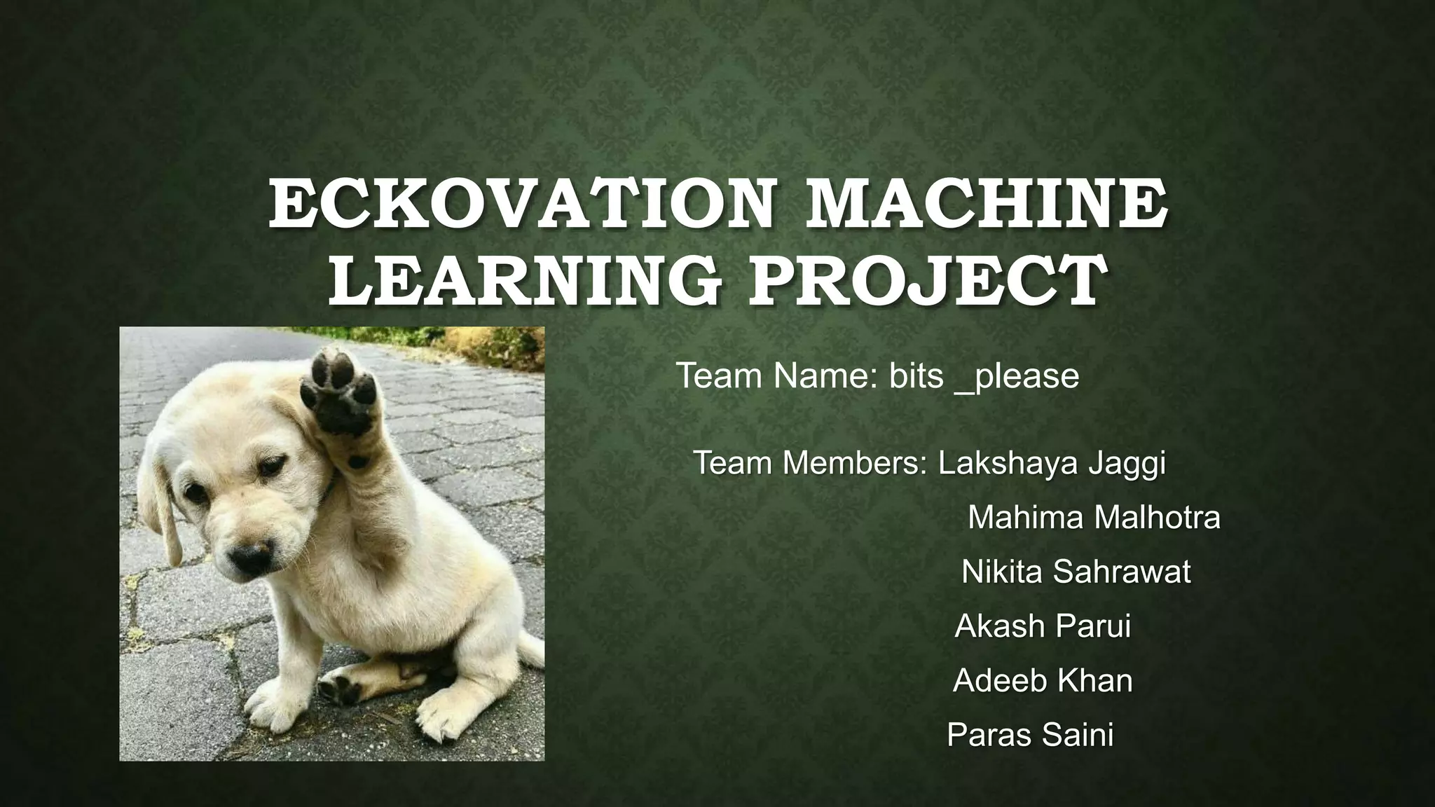 ECKOVATION MACHINE
LEARNING PROJECT
Team Members: Lakshaya Jaggi
Mahima Malhotra
Nikita Sahrawat
Akash Parui
Adeeb Khan
Paras Saini
Team Name: bits _please
 