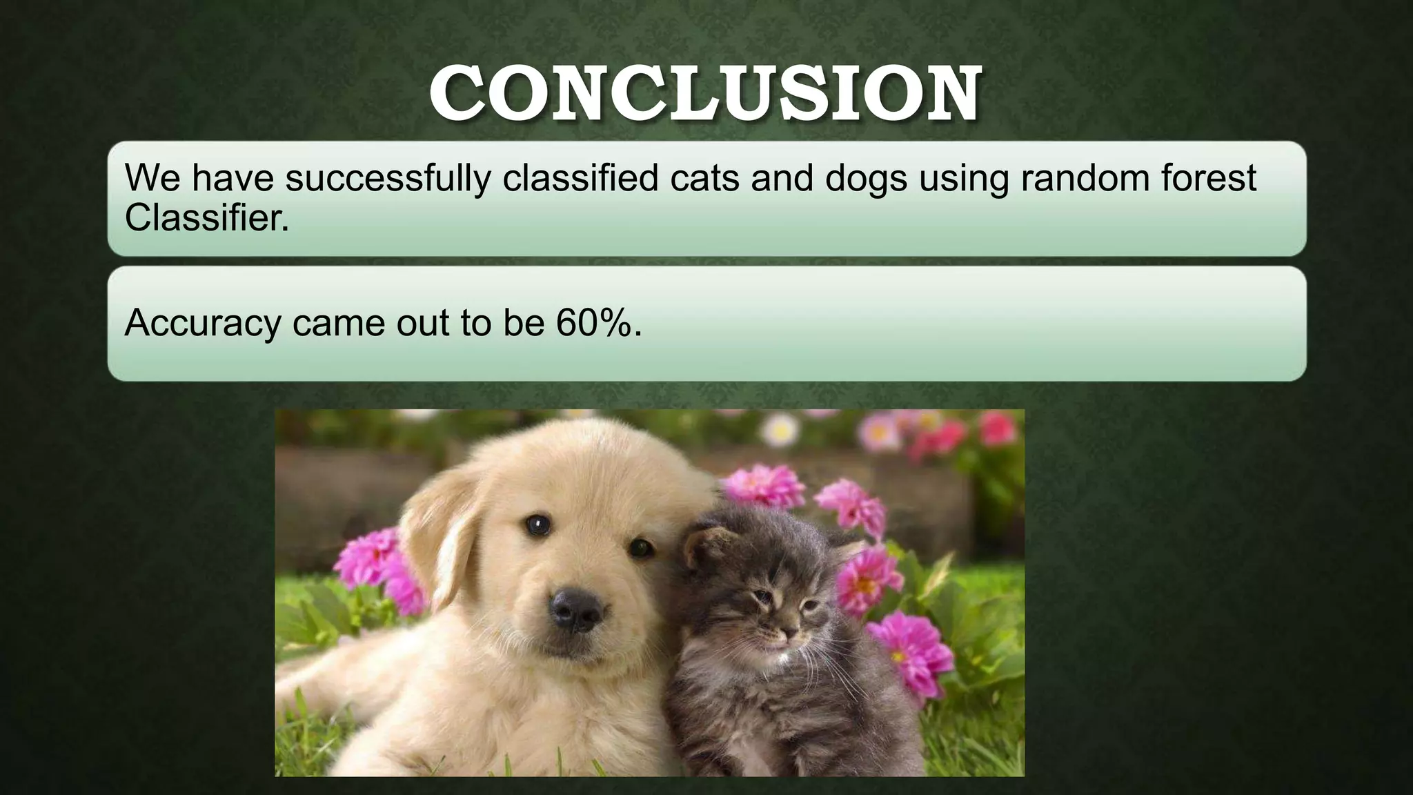 CONCLUSION
We have successfully classified cats and dogs using random forest
Classifier.
Accuracy came out to be 60%.
 