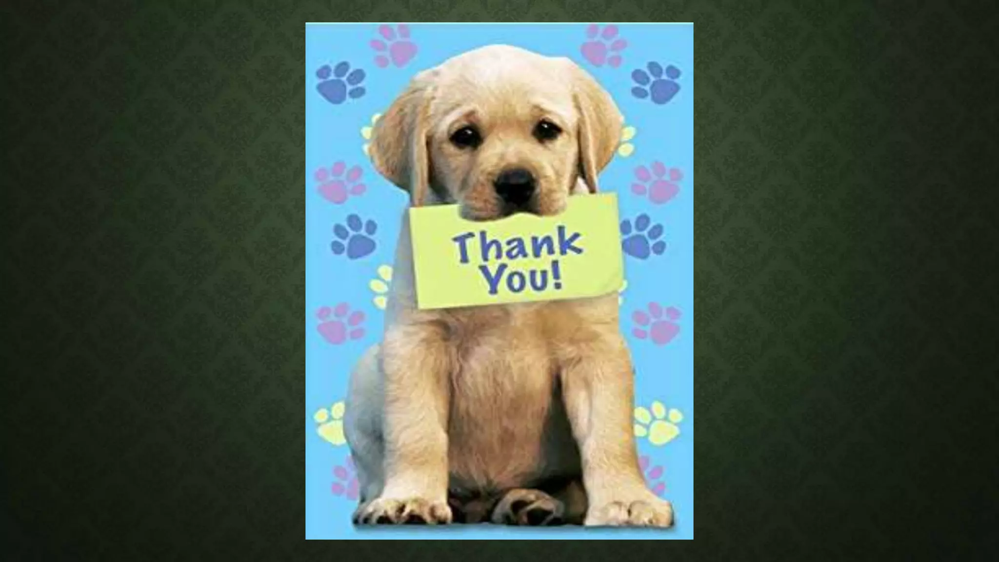 Machine model to classify dogs and cat