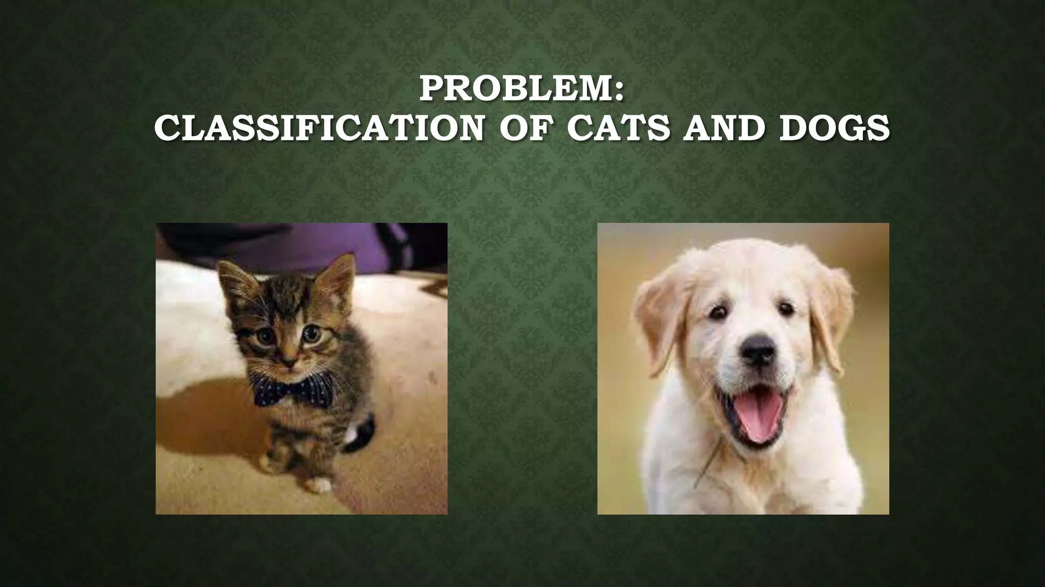 PROBLEM:
CLASSIFICATION OF CATS AND DOGS
 