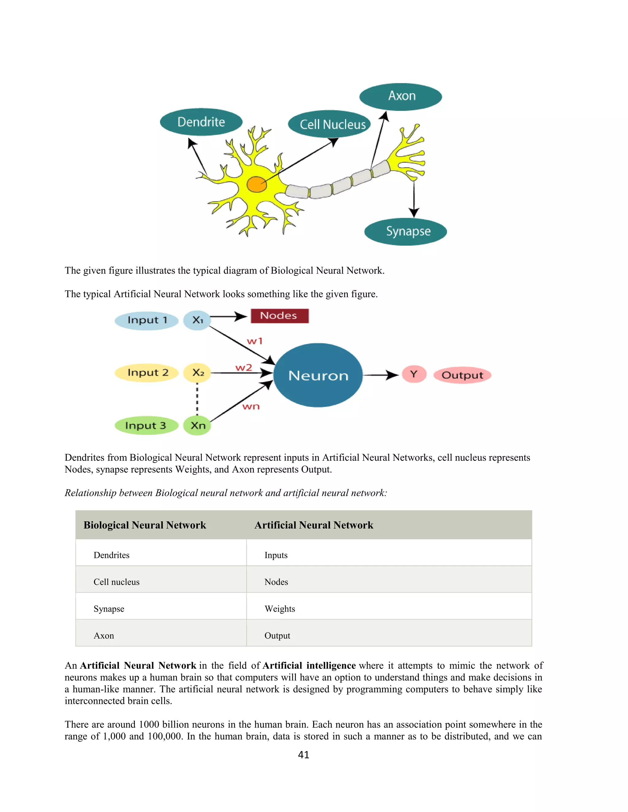 41
The given figure illustrates the typical diagram of Biological Neural Network.
The typical Artificial Neural Network looks something like the given figure.
Dendrites from Biological Neural Network represent inputs in Artificial Neural Networks, cell nucleus represents
Nodes, synapse represents Weights, and Axon represents Output.
Relationship between Biological neural network and artificial neural network:
Biological Neural Network Artificial Neural Network
Dendrites Inputs
Cell nucleus Nodes
Synapse Weights
Axon Output
An Artificial Neural Network in the field of Artificial intelligence where it attempts to mimic the network of
neurons makes up a human brain so that computers will have an option to understand things and make decisions in
a human-like manner. The artificial neural network is designed by programming computers to behave simply like
interconnected brain cells.
There are around 1000 billion neurons in the human brain. Each neuron has an association point somewhere in the
range of 1,000 and 100,000. In the human brain, data is stored in such a manner as to be distributed, and we can
 