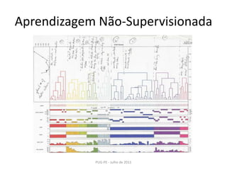Aprendizagem Não-SupervisionadaPUG-PE - Julho de 2011