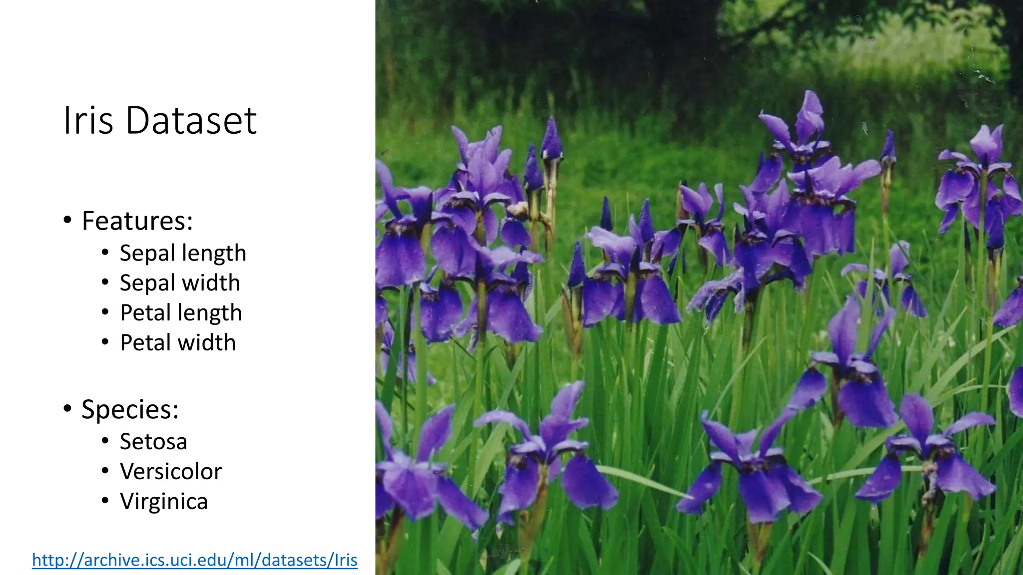 Iris Dataset
• Features:
• Sepal length
• Sepal width
• Petal length
• Petal width
• Species:
• Setosa
• Versicolor
• Virginica
http://archive.ics.uci.edu/ml/datasets/Iris
 