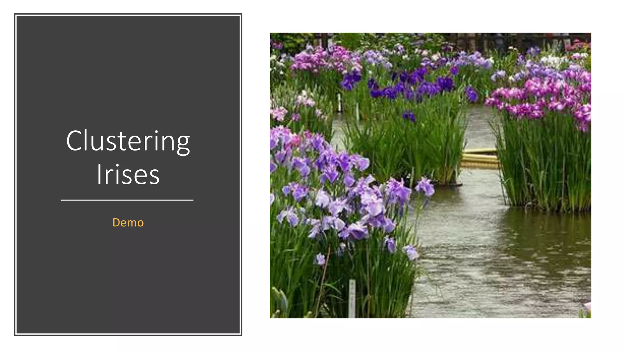 Clustering
Irises
Demo
 