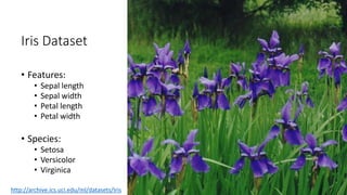 Iris Dataset
• Features:
• Sepal length
• Sepal width
• Petal length
• Petal width
• Species:
• Setosa
• Versicolor
• Virginica
http://archive.ics.uci.edu/ml/datasets/Iris
 