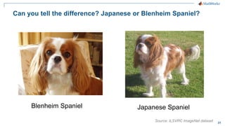 31
Can you tell the difference? Japanese or Blenheim Spaniel?
Blenheim Spaniel Japanese Spaniel
Source: ILSVRC ImageNet dataset
 