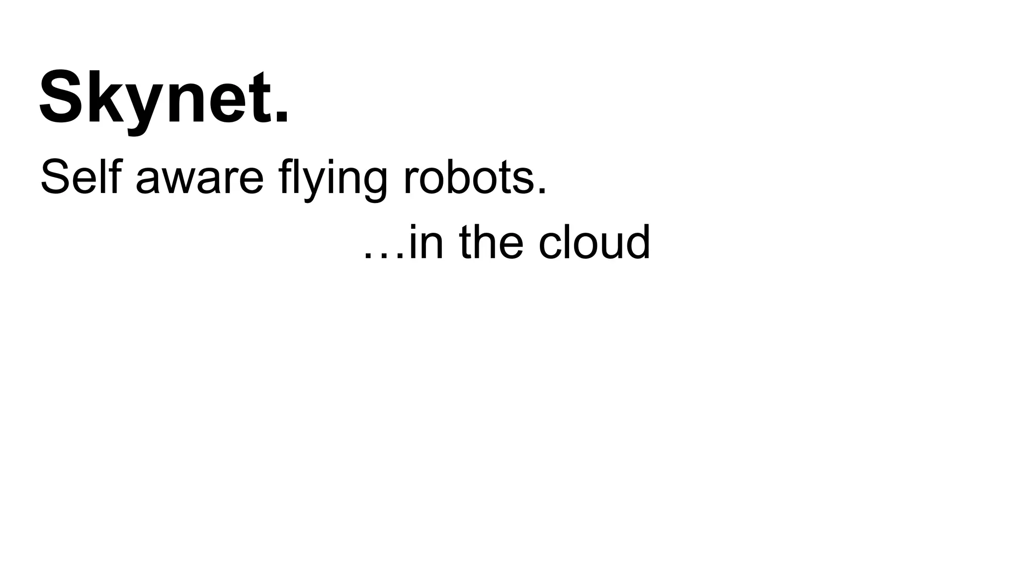 Skynet. 
Self aware flying robots. 
…in the cloud 
 
