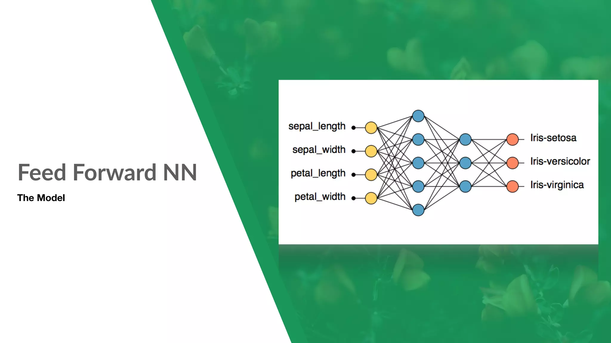 Feed Forward NN The Model 