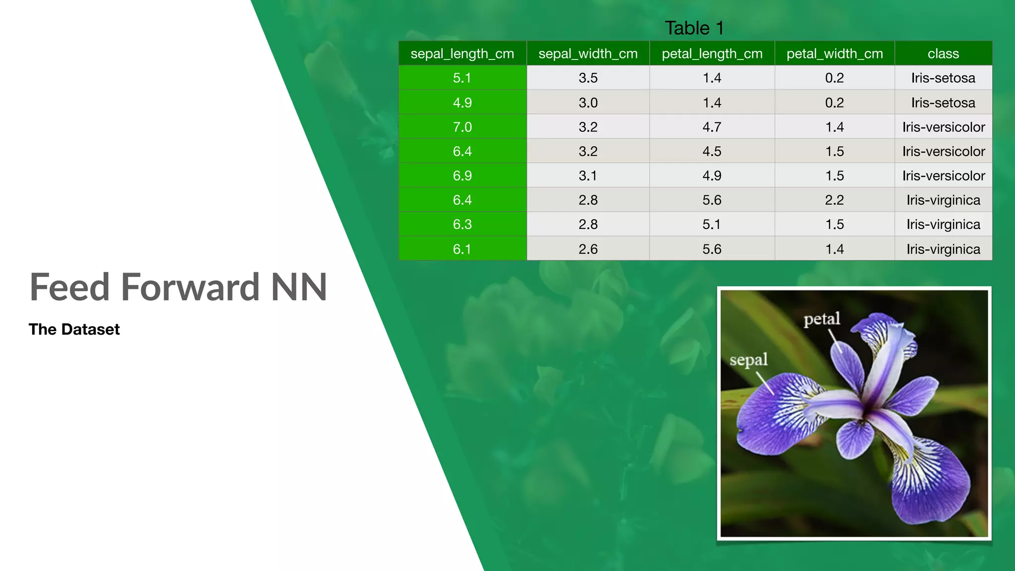 Feed Forward NN The Dataset Table 1 sepal_length_cm sepal_width_cm petal_length_cm petal_width_cm class 5.1 3.5 1.4 0.2 Iris-setosa 4.9 3.0 1.4 0.2 Iris-setosa 7.0 3.2 4.7 1.4 Iris-versicolor 6.4 3.2 4.5 1.5 Iris-versicolor 6.9 3.1 4.9 1.5 Iris-versicolor 6.4 2.8 5.6 2.2 Iris-virginica 6.3 2.8 5.1 1.5 Iris-virginica 6.1 2.6 5.6 1.4 Iris-virginica 