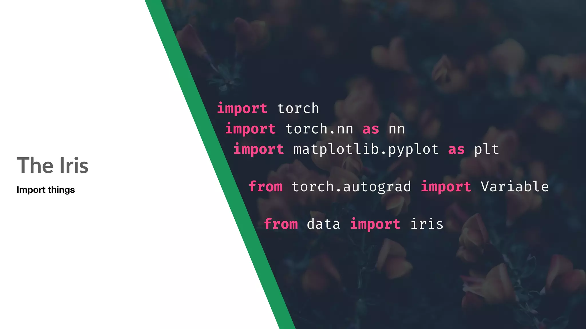 The Iris import torch import torch.nn as nn import matplotlib.pyplot as plt from torch.autograd import Variable from data import iris Import things 