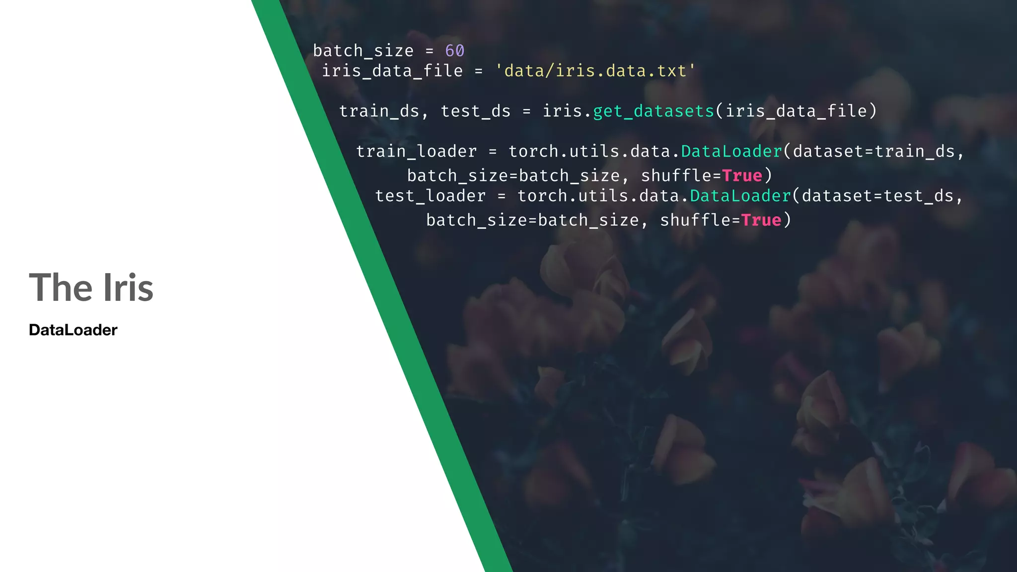 The Iris batch_size = 60 iris_data_file = 'data/iris.data.txt' train_ds, test_ds = iris.get_datasets(iris_data_file) train_loader = torch.utils.data.DataLoader(dataset=train_ds, batch_size=batch_size, shuffle=True) test_loader = torch.utils.data.DataLoader(dataset=test_ds, batch_size=batch_size, shuffle=True) DataLoader 