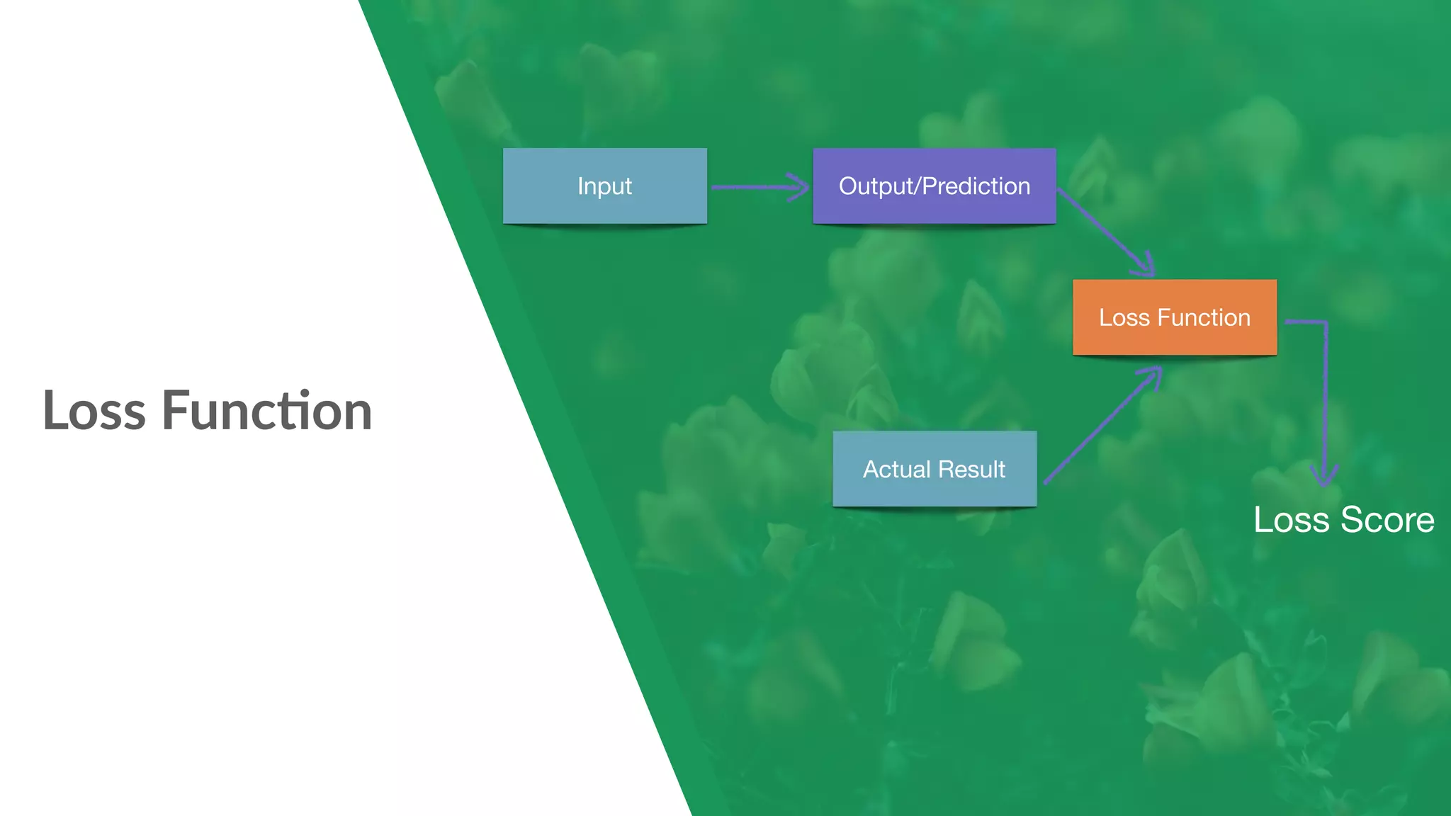 Loss Func7on Output/Prediction Actual Result Loss Function Loss Score Input 