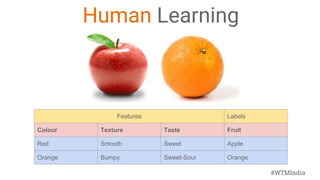 #WTMIndia
Human Learning
Features Labels
Colour Texture Taste Fruit
Red Smooth Sweet Apple
Orange Bumpy Sweet-Sour Orange
 