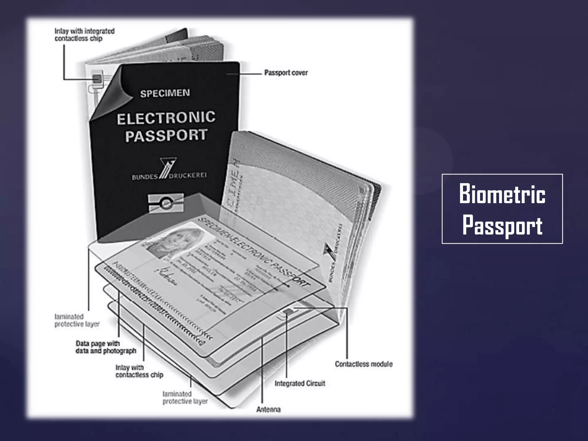 Biometric
Passport

 