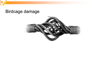 Birdcage damage
 