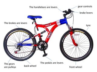 The handlebars are levers
gear controls
brake levers
The brakes are levers
The gears
are pulleys
tyre
The pedals are levers
back wheel
front wheel