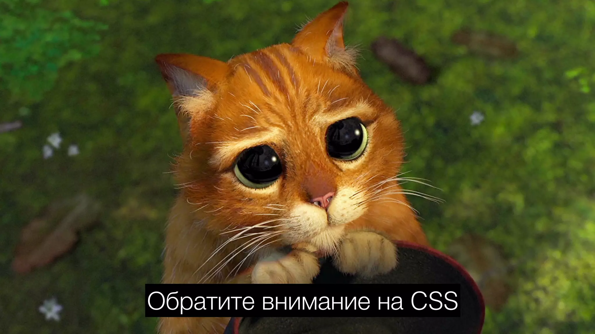 Обратите внимание на CSS
 