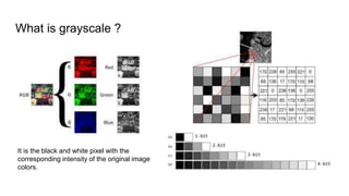 What is grayscale ?
It is the black and white pixel with the
corresponding intensity of the original image
colors.
 