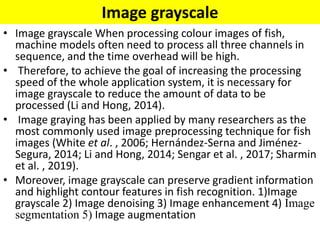 Image grayscale
• Image grayscale When processing colour images of fish,
machine models often need to process all three channels in
sequence, and the time overhead will be high.
• Therefore, to achieve the goal of increasing the processing
speed of the whole application system, it is necessary for
image grayscale to reduce the amount of data to be
processed (Li and Hong, 2014).
• Image graying has been applied by many researchers as the
most commonly used image preprocessing technique for fish
images (White et al. , 2006; Hernández-Serna and Jiménez-
Segura, 2014; Li and Hong, 2014; Sengar et al. , 2017; Sharmin
et al. , 2019).
• Moreover, image grayscale can preserve gradient information
and highlight contour features in fish recognition. 1)Image
grayscale 2) Image denoising 3) Image enhancement 4) Image
segmentation 5) Image augmentation
 