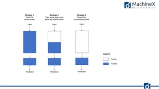 Demystifying transfer learning with Tensorflow | PDF