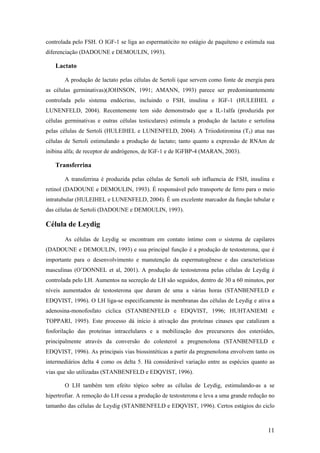 controlada pelo FSH. O IGF-1 se liga ao espermatócito no estágio de paquíteno e estimula sua
diferenciação (DADOUNE e DEMOULIN, 1993).
Lactato
A produção de lactato pelas células de Sertoli (que servem como fonte de energia para
as células germinativas)(JOHNSON, 1991; AMANN, 1993) parece ser predominantemente
controlada pelo sistema endócrino, incluindo o FSH, insulina e IGF-1 (HULEIHEL e
LUNENFELD, 2004). Recentemente tem sido demonstrado que a IL-1alfa (produzida por
células germinativas e outras células testiculares) estimula a produção de lactato e sertolina
pelas células de Sertoli (HULEIHEL e LUNENFELD, 2004). A Triiodotironina (T3) atua nas
células de Sertoli estimulando a produção de lactato; tanto quanto a expressão de RNAm de
inibina alfa; de receptor de andrógenos, de IGF-1 e de IGFBP-4 (MARAN, 2003).
Transferrina
A transferrina é produzida pelas células de Sertoli sob influencia de FSH, insulina e
retinol (DADOUNE e DEMOULIN, 1993). É responsável pelo transporte de ferro para o meio
intratubular (HULEIHEL e LUNENFELD, 2004). É um excelente marcador da função tubular e
das células de Sertoli (DADOUNE e DEMOULIN, 1993).
Célula de Leydig
As células de Leydig se encontram em contato íntimo com o sistema de capilares
(DADOUNE e DEMOULIN, 1993) e sua principal função é a produção de testosterona, que é
importante para o desenvolvimento e manutenção da espermatogênese e das características
masculinas (O’DONNEL et al, 2001). A produção de testosterona pelas células de Leydig é
controlada pelo LH. Aumentos na secreção de LH são seguidos, dentro de 30 a 60 minutos, por
níveis aumentados de testosterona que duram de uma a várias horas (STANBENFELD e
EDQVIST, 1996). O LH liga-se especificamente às membranas das células de Leydig e ativa a
adenosina-monofosfato cíclica (STANBENFELD e EDQVIST, 1996; HUHTANIEMI e
TOPPARI, 1995). Este processo dá início à ativação das proteínas cinases que catalizam a
fosforilação das proteínas intracelulares e a mobilização dos precursores dos esteróides,
principalmente através da conversão do colesterol a pregnenolona (STANBENFELD e
EDQVIST, 1996). As principais vias biossintéticas a partir da pregnenolona envolvem tanto os
intermediários delta 4 como os delta 5. Há considerável variação entre as espécies quanto as
vias que são utilizadas (STANBENFELD e EDQVIST, 1996).
O LH também tem efeito tópico sobre as células de Leydig, estimulando-as a se
hipertrofiar. A remoção do LH cessa a produção de testosterona e leva a uma grande redução no
tamanho das células de Leydig (STANBENFELD e EDQVIST, 1996). Certos estágios do ciclo
11
 