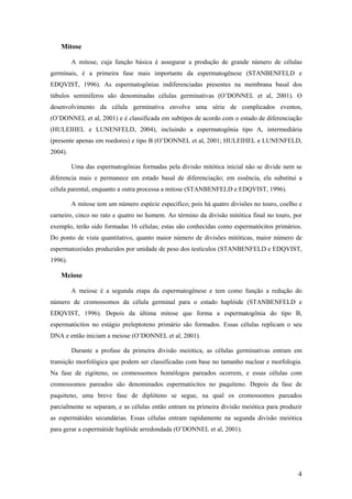 Mitose
A mitose, cuja função básica é assegurar a produção de grande número de células
germinais, é a primeira fase mais importante da espermatogênese (STANBENFELD e
EDQVIST, 1996). As espermatogônias indiferenciadas presentes na membrana basal dos
túbulos seminíferos são denominadas células germinativas (O’DONNEL et al, 2001). O
desenvolvimento da célula germinativa envolve uma série de complicados eventos,
(O’DONNEL et al, 2001) e é classificada em subtipos de acordo com o estado de diferenciação
(HULEIHEL e LUNENFELD, 2004), incluindo a espermatogônia tipo A, intermediária
(presente apenas em roedores) e tipo B (O’DONNEL et al, 2001; HULEIHEL e LUNENFELD,
2004).
Uma das espermatogônias formadas pela divisão mitótica inicial não se divide nem se
diferencia mais e permanece em estado basal de diferenciação; em essência, ela substitui a
célula parental, enquanto a outra processa a mitose (STANBENFELD e EDQVIST, 1996).
A mitose tem um número espécie específico; pois há quatro divisões no touro, coelho e
carneiro, cinco no rato e quatro no homem. Ao término da divisão mitótica final no touro, por
exemplo, terão sido formadas 16 células; estas são conhecidas como espermatócitos primários.
Do ponto de vista quantitativo, quanto maior número de divisões mitóticas, maior número de
espermatozóides produzidos por unidade de peso dos testículos (STANBENFELD e EDQVIST,
1996).
Meiose
A meiose é a segunda etapa da espermatogênese e tem como função a redução do
número de cromossomos da célula germinal para o estado haplóide (STANBENFELD e
EDQVIST, 1996). Depois da última mitose que forma a espermatogônia do tipo B,
espermatócitos no estágio preleptoteno primário são formados. Essas células replicam o seu
DNA e então iniciam a meiose (O’DONNEL et al, 2001).
Durante a profase da primeira divisão meiótica, as células germinativas entram em
transição morfológica que podem ser classificadas com base no tamanho nuclear e morfologia.
Na fase de zigóteno, os cromossomos homólogos pareados ocorrem, e essas células com
cromossomos pareados são denominados espermatócitos no paquíteno. Depois da fase de
paquiteno, uma breve fase de diplóteno se segue, na qual os cromossomos pareados
parcialmente se separam, e as células então entram na primeira divisão meiótica para produzir
as espermátides secundárias. Essas células entram rapidamente na segunda divisão meiótica
para gerar a espermátide haplóide arredondada (O’DONNEL et al, 2001).
4
 