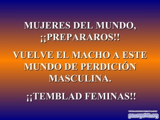 MUJERES DEL MUNDO, ¡¡PREPARAROS!! VUELVE EL MACHO A ESTE MUNDO DE PERDICIÓN MASCULINA. ¡¡TEMBLAD FEMINAS!! 